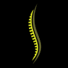 Lismore Osteopathy