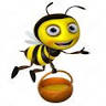 Little Bee Honey Farm Inc.
