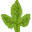 Little Plants