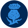 Little Thistle Brewing