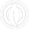 Life Church Sparta