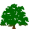 Live Oak Medicine