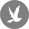 Living Hope Christian Reformed Church