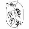 Living Loved Lash & Body Studio