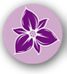 Livonia Dermatology PLLC: Pegouske David M MD;Meena Moossavi M.D.
