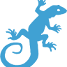 Lizard Therapy Adelaide