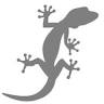 Lizard Consulting LLC