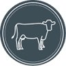 Llaeth Preseli Milk & Gelato