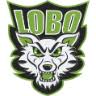 Lobo Moto - serwis i naprawa motocykli, motocross
