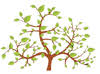 Local Roots