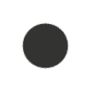 Lombardo's Flowers