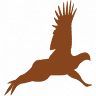 LoneTree Outfitters