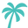 Long Reef Surf Co