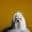 D Pet Hotels Los Angeles (Encino)