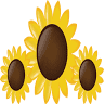 Los Girasoles