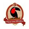 Finca Los Olivales