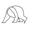 Lost Bear Gallery