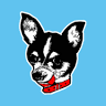 Lost Dog Café & Lounge
