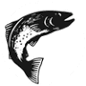 Lost River Outfitters