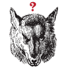 Lost Wolf Wine
