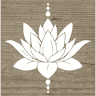 Lotus Events Picnics Weddings