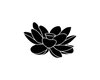 Lotus Structural Integration