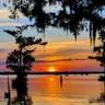 Louisiana Swamp Tours