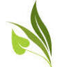 Equinox botanical boutique