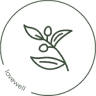 Lovewell Café