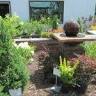Landscape Techniques LLC and LT Pets and Supplies