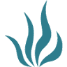 Lt Natural Group