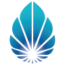 Lucent Advisory - Experts in Outsourced Payroll, HR, Accounting and Bookkeeping, CFO and Business Advisory Services
