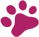 Lucky Paws Pet Resort