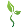 Lucy Holland Naturopath - Remedial Massage, Digestive Health & Naturopath Townsville