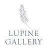 Lupine Gallery