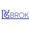 LVG Broker LTD Insurance broker