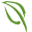 Lyme Properties
