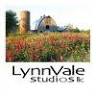 LynnVale Studios, llc