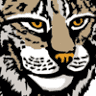 LYNX GC