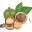 Xưởng Macca Cao Nguyên Phát
