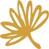 Macela Gold Manipulation Pharmacy