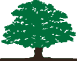 Machado Funeral and Cremation Service