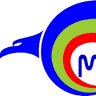 M S Rizqi