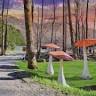 Magical Mountain Resorts, The Enchanted Forest
