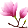 Rodzinny Ogród Działkowy Magnolia