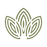 Magnolix (МАГНОЛІКС) - магазин професійної космети&