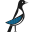 Magpie Market