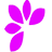 Công Ty TNHH DL &TM Mai Anh Đào