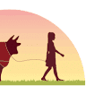 Maiden Creek Beef LLC