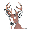 Maine Line Products